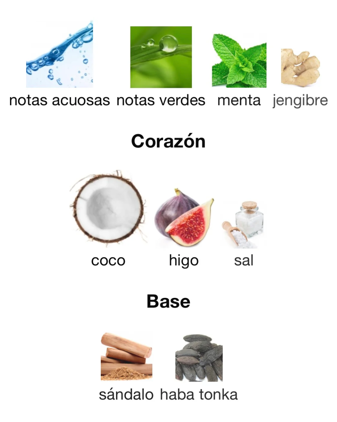 Jean Paul Gaultier Paradise Garden | Decant