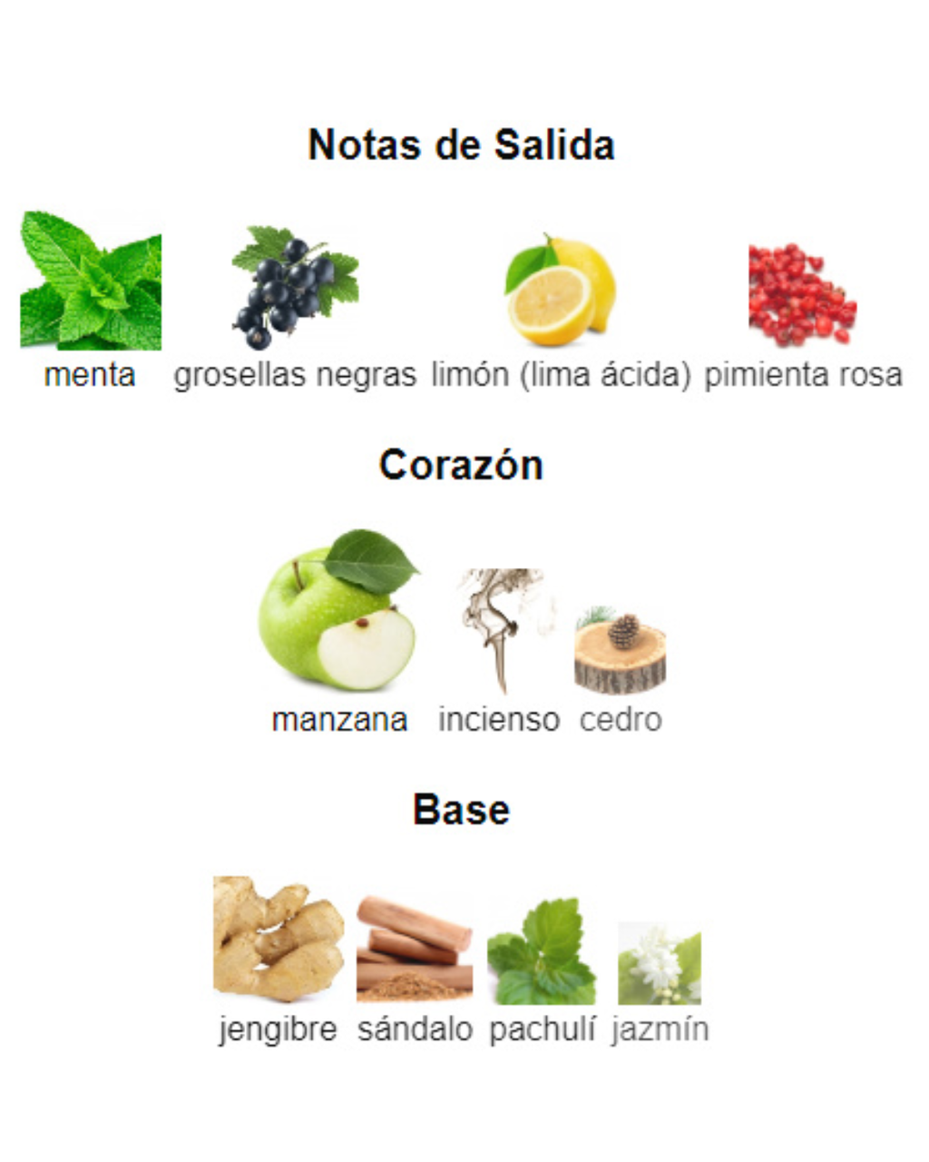 Afnan 9am Dive | Decant