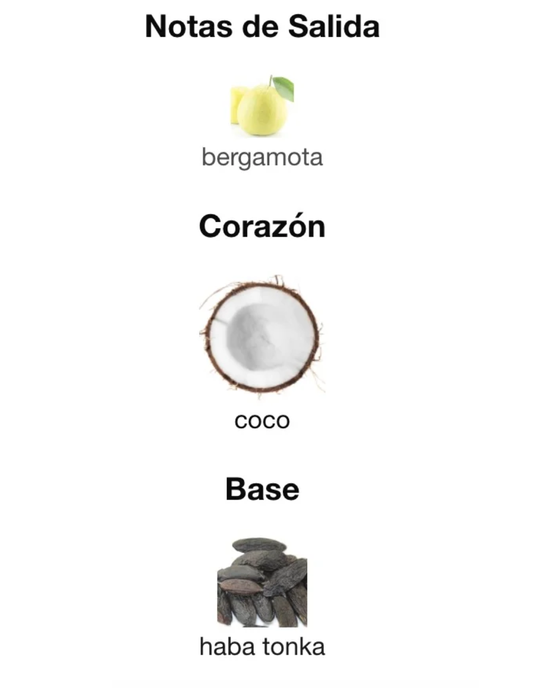 Jean Paul Gaultier Le Beau EDT | Decant