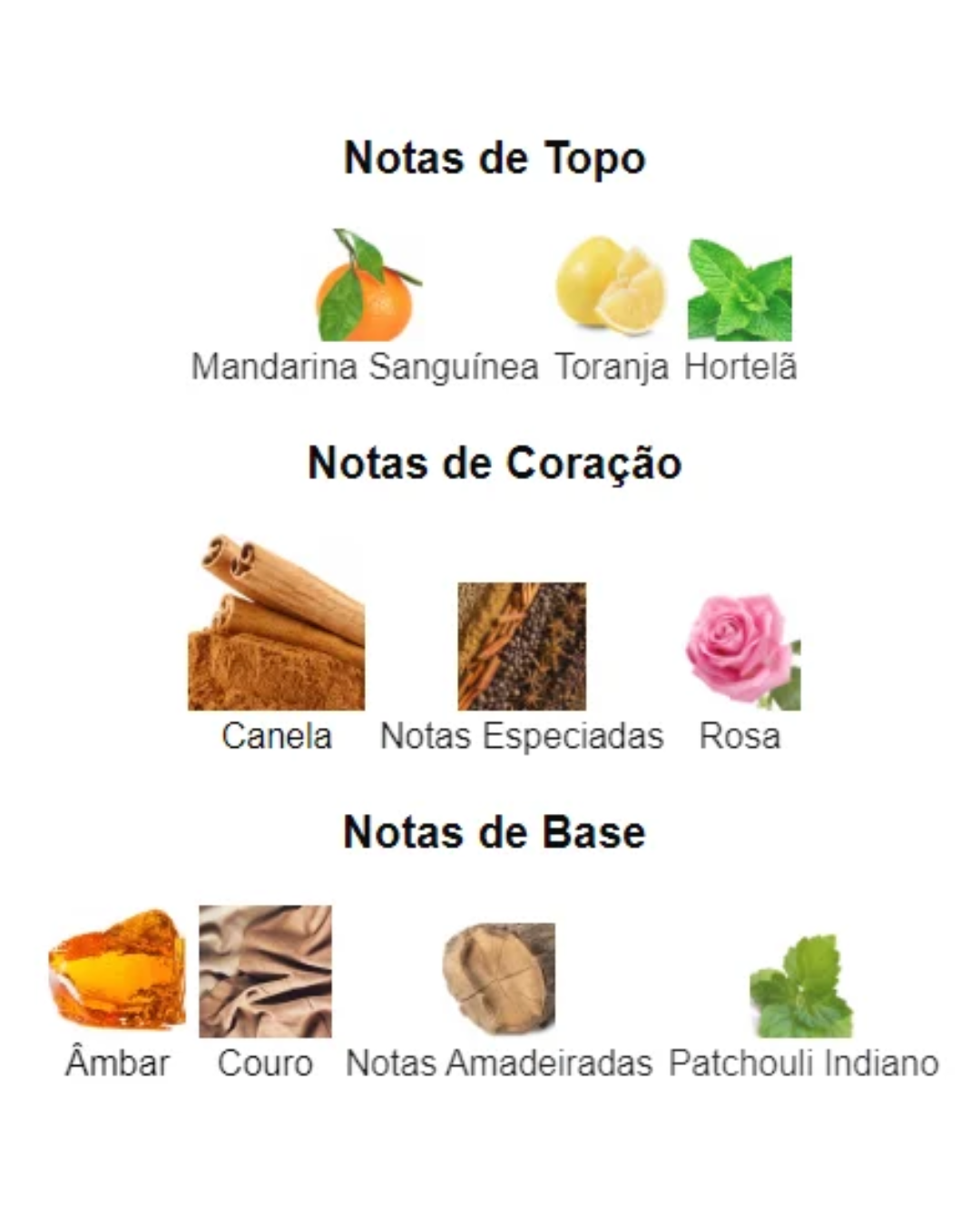 Paco Rabbane 1 Million Parfum | Decant