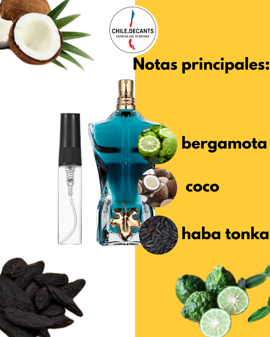 Jean Paul Gaultier Le Beau EDT | Decant