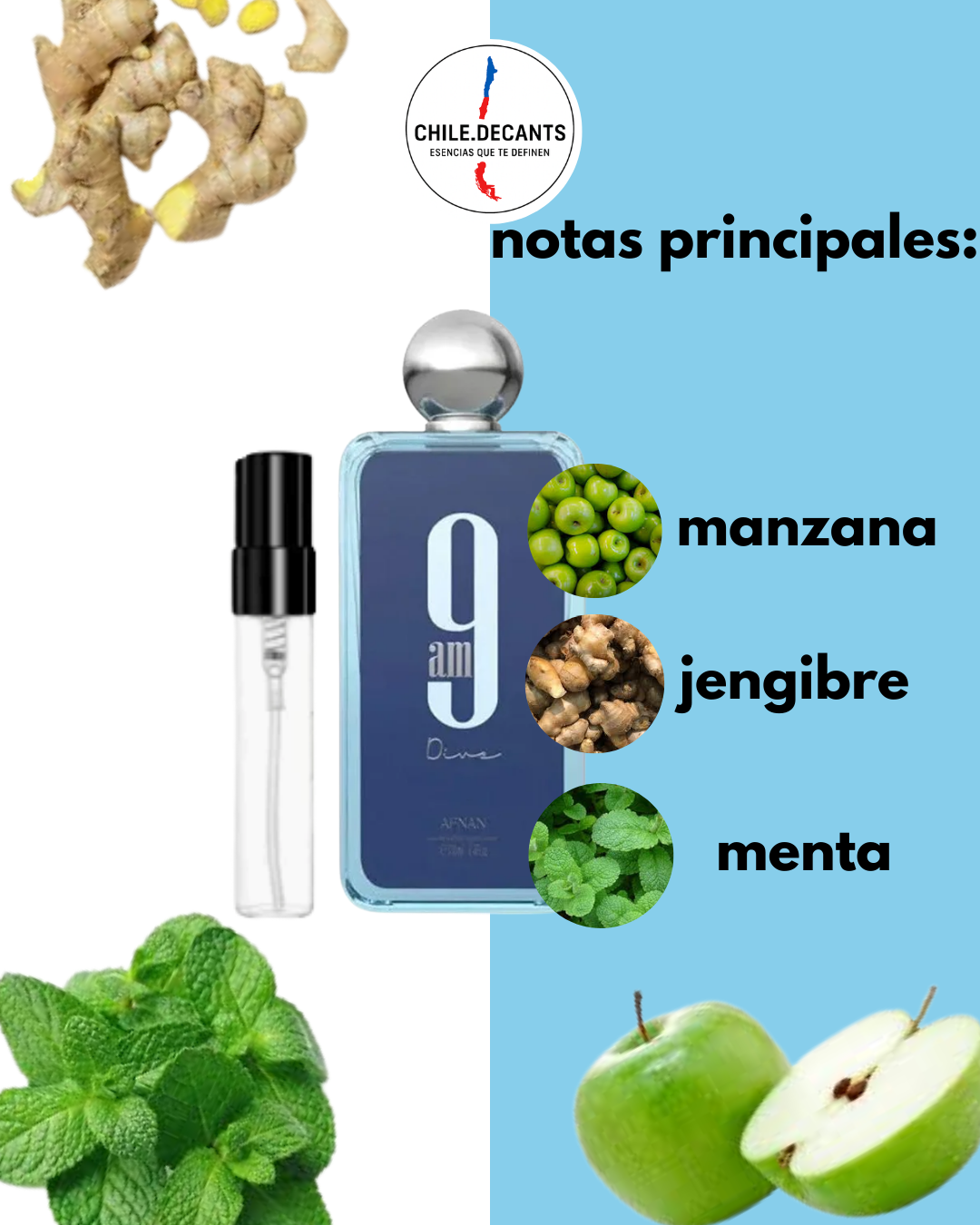 Afnan 9am Dive | Decants