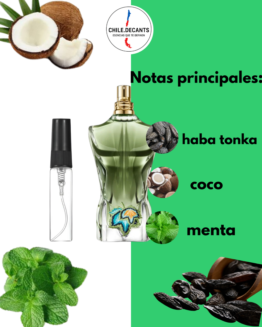 Jean Paul Gaultier Paradise Garden | Decant